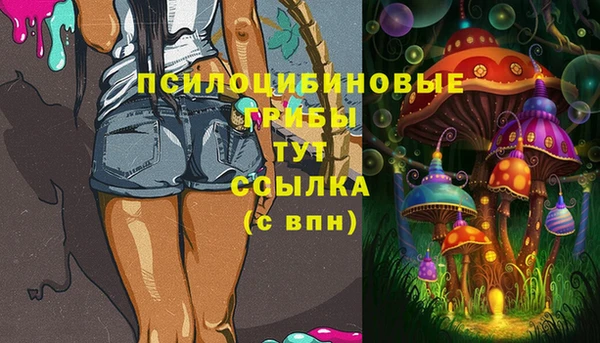 PSILOCYBIN Мегион