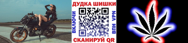 закладка  Грозный  Каннабис сатива 